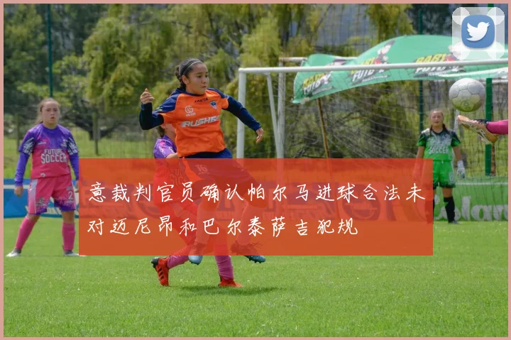 意裁判官员确认帕尔马进球合法未对迈尼昂和巴尔泰萨吉犯规